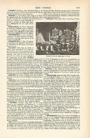 LAMINA ESPASA 4963: Picadilly Circus de noche por Nixon