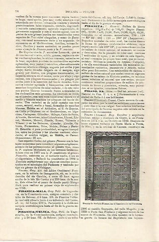 LAMINA ESPASA 27074: Puerta de A. Pisano en Florencia