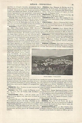 LAMINA ESPASA 27080: Vista de Pisino Italia