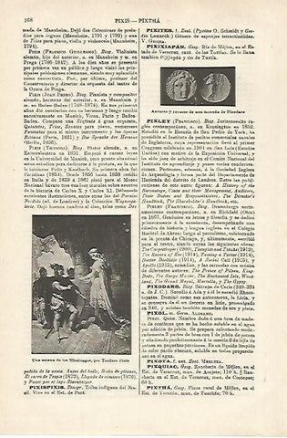 LAMINA ESPASA 27102: Escena de los Nibelungos