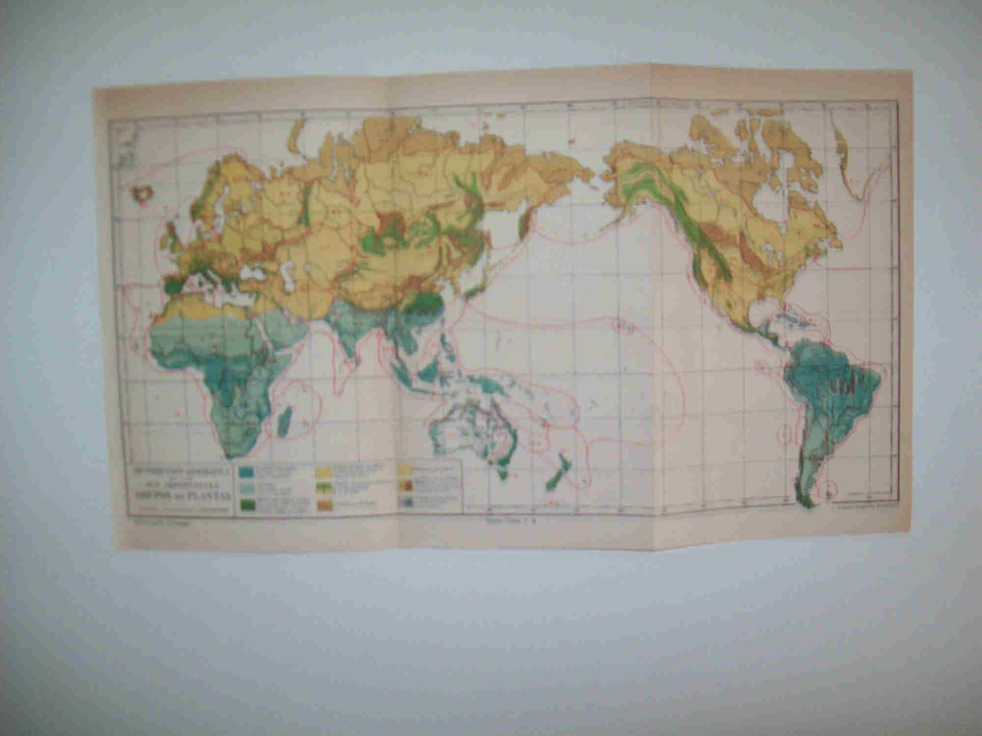 LAMINA ESPASA 27110: Mapa mundial de los grupos de plantas