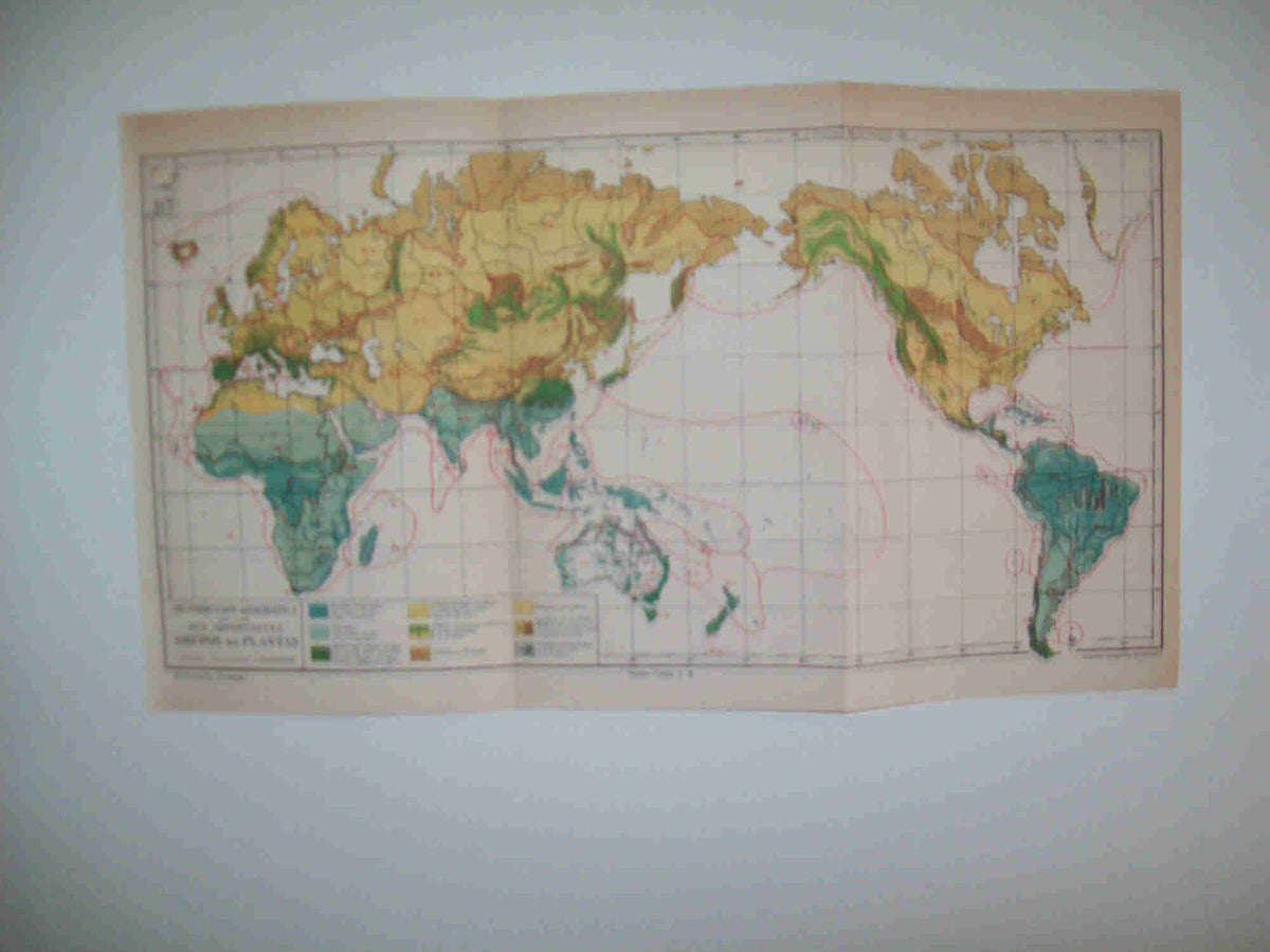 LAMINA ESPASA 27110: Mapa mundial de los grupos de plantas