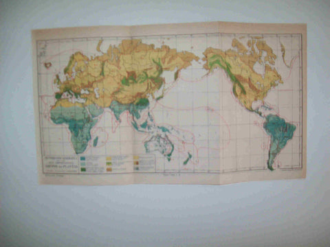LAMINA ESPASA 27110: Mapa mundial de los grupos de plantas