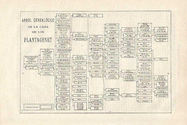 LAMINA ESPASA 27111: Arbol genealogico de la Casa de los Plantagenet