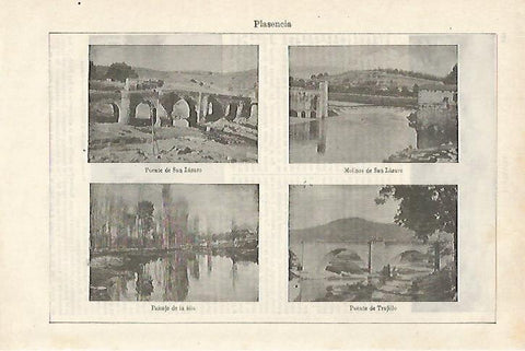  Lamina Espasa 27117: Vistas varias de Plasencia