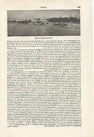 LAMINA ESPASA 27139: Playa de Sitges Barcelona