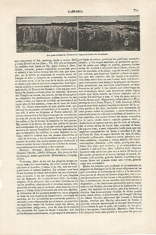 LAMINA ESPASA 27149: La gran plegaria