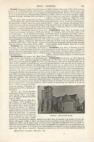LAMINA ESPASA 27159: Iglesia de San Armel en Ploermel