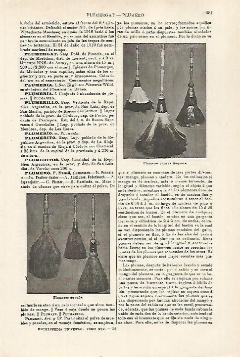 LAMINA ESPASA 27169: Plumeros para limpiar