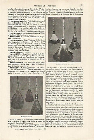 LAMINA ESPASA 27169: Plumeros para limpiar