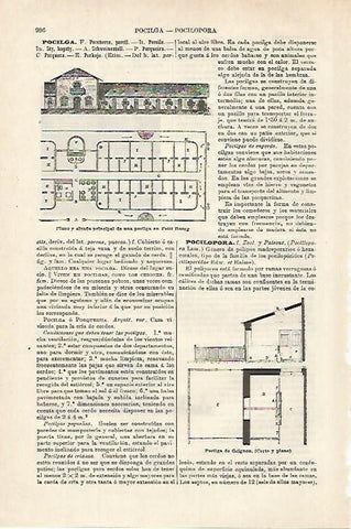 LAMINA ESPASA 27185: Pocilga de Grignon