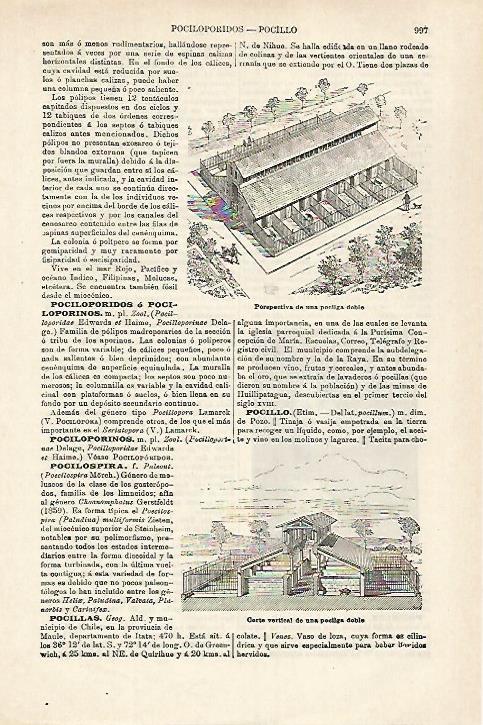 LAMINA ESPASA 27186: Perspectiva de una pocilga doble