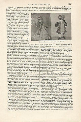LAMINA ESPASA 27218: Polichinelas fabricados por Madame Forain