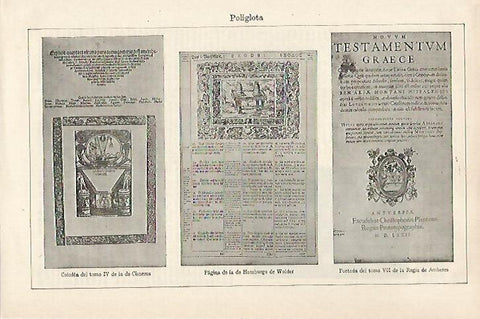 LAMINA ESPASA 27221: Poliglota