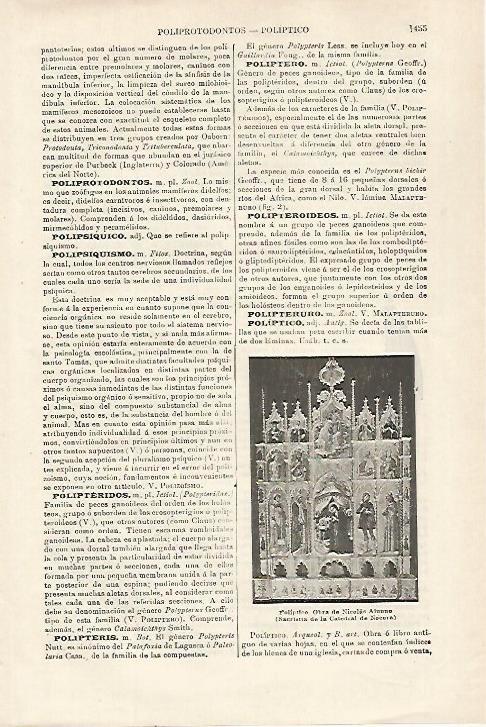 LAMINA ESPASA 27225: Poliptico de Nicolas Alumno