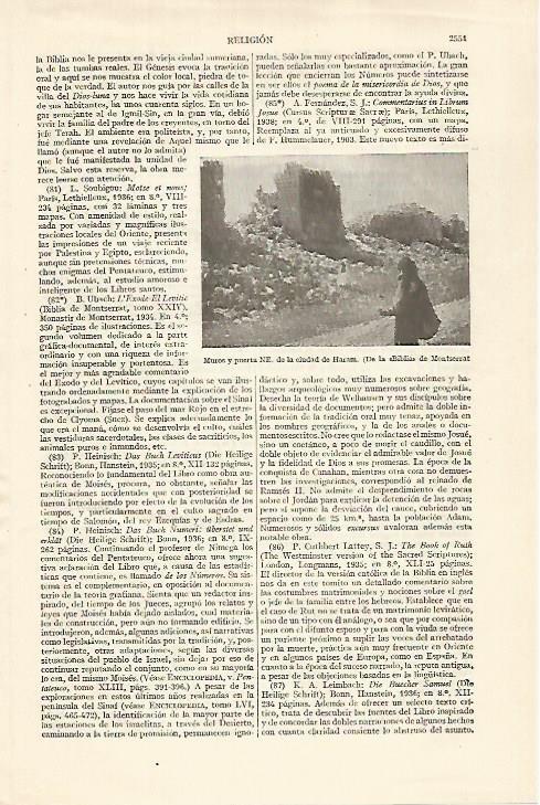 LAMINA ESPASA 27401: Muros de Haram