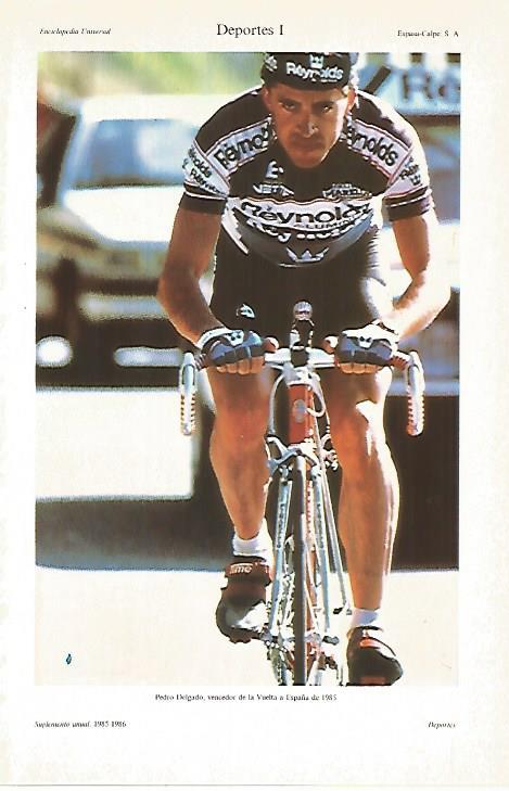 LAMINA ESPASA 27435: Pedro Delgado vencedor de la Vuelta en 1985