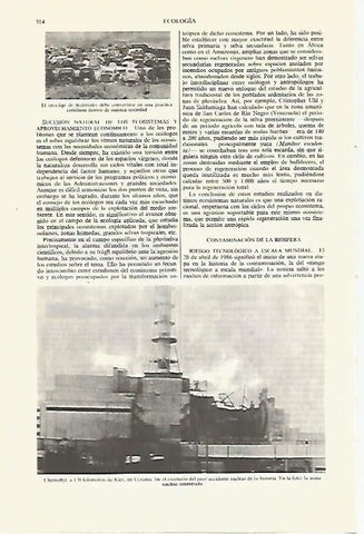 LAMINA ESPASA 27436: Chernobyl
