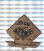 Pin: Alico 75 years of service, 1921 a 1996