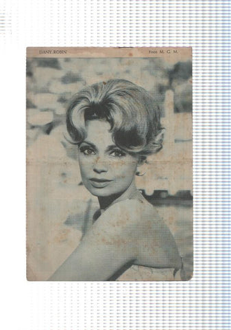 Mary Noticias numero 058: trasera foto artista Dany Robin