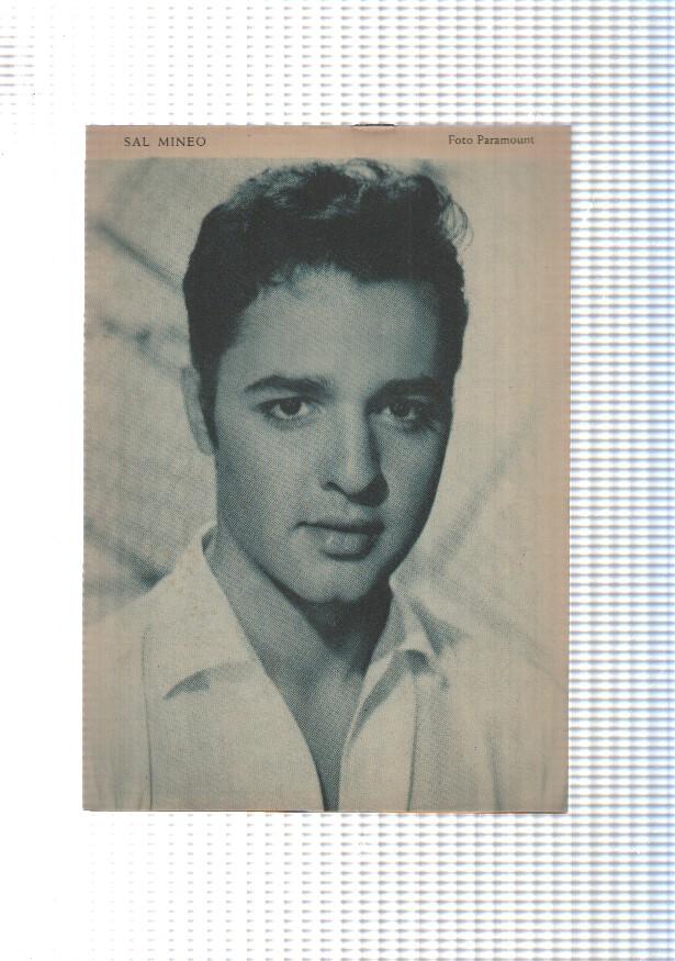 Mary Noticias numero 055: trasera foto artista Sal Mineo