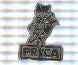 Pin: Pryca Tarrgona. Plateado y negro