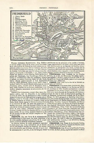 LAMINA ESPASA 27499: Plano de Fredrikshald Noruega