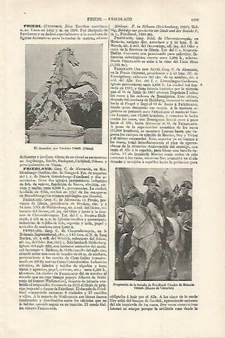 LAMINA ESPASA 27522: El domador por T. Friedl en Viena