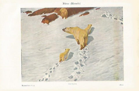 LAMINA ESPASA 27524: Osos blancos por R. Friese