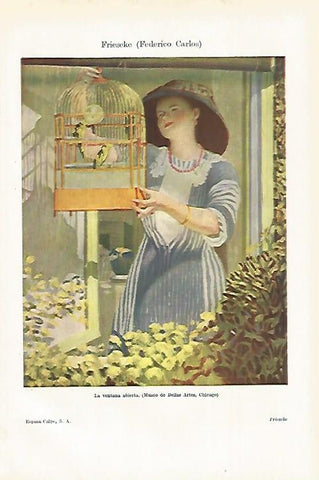 LAMINA ESPASA 27526: La ventana abierta por F. Frieseke