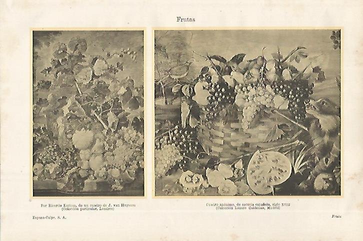 LAMINA ESPASA 27542: Frutas