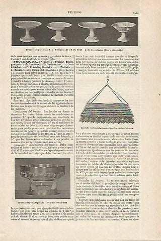 LAMINA ESPASA 27544: Fruteros de porcelana
