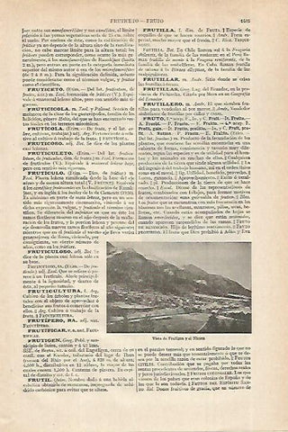 LAMINA ESPASA 27545: Vista de Frutigen y el Niesen