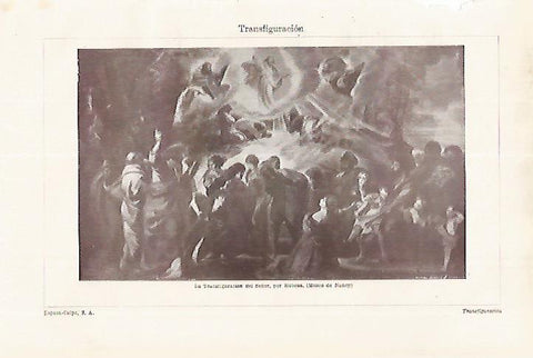 LAMINA ESPASA 27575: La Transfiguracion del Señor por Rubens