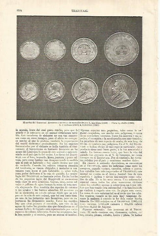 LAMINA ESPASA 27586: Monedas de Transvaal