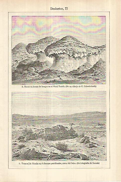 LAMINA ESPASA 27789: Desierto de Wadi Tarfeh y troncos de Nicolia Egipto