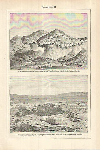 LAMINA ESPASA 27789: Desierto de Wadi Tarfeh y troncos de Nicolia Egipto