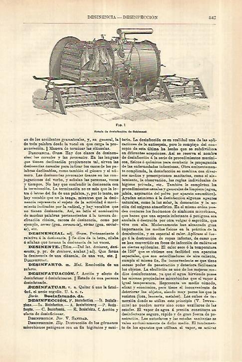LAMINA ESPASA 27792: Estufa de Schimmel