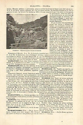 LAMINA ESPASA 27828: Lavado de diamantes en Brasil