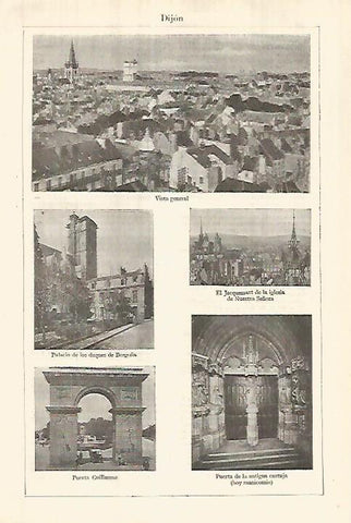 LAMINA ESPASA 27847: Vista general y palacios de Dijon Francia