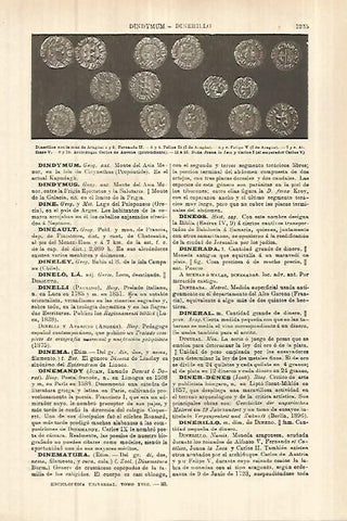 LAMINA ESPASA 27862: Dinerillos con la cruz de Aragon