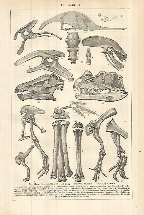 LAMINA ESPASA 27865: Dinosaurios