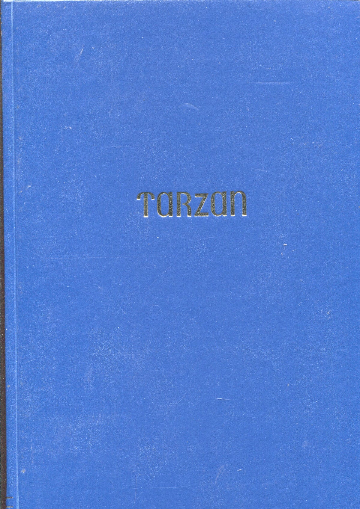 Joaquin Esteve: Tarzan  de Foster y Hogarth