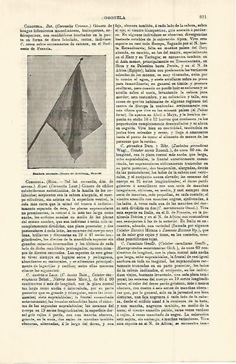 LAMINA ESPASA 15020: Bandera coronela