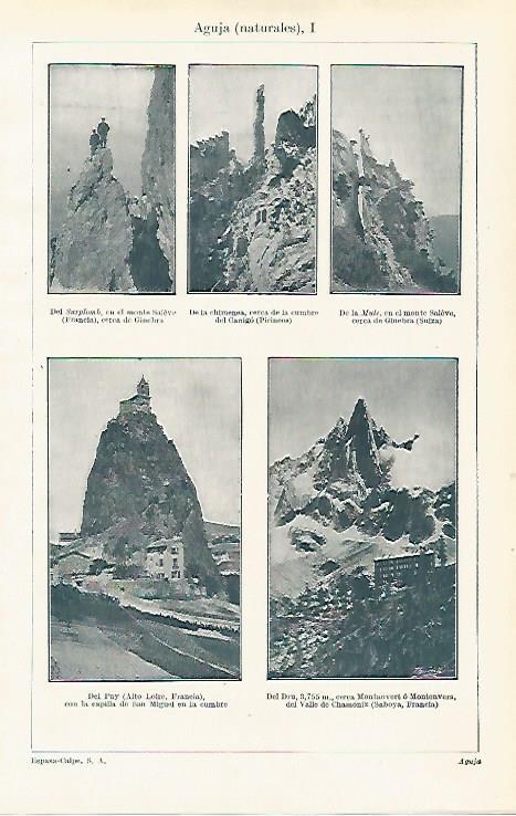 LAMINA ESPASA 15453: Agujas naturales