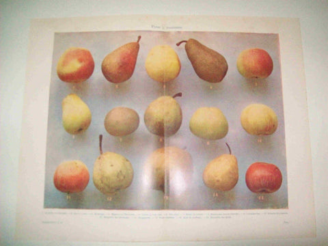 LAMINA ESPASA 15716: Peras y manzanas