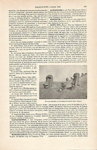 LAMINA ESPASA 15965: Rapa Nui