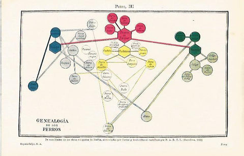 LAMINA ESPASA 15780: Genealogia de los perros