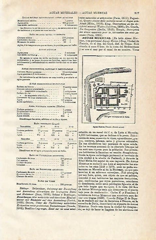 LAMINA ESPASA 15432: Plano de Aguas Muertas en Francia