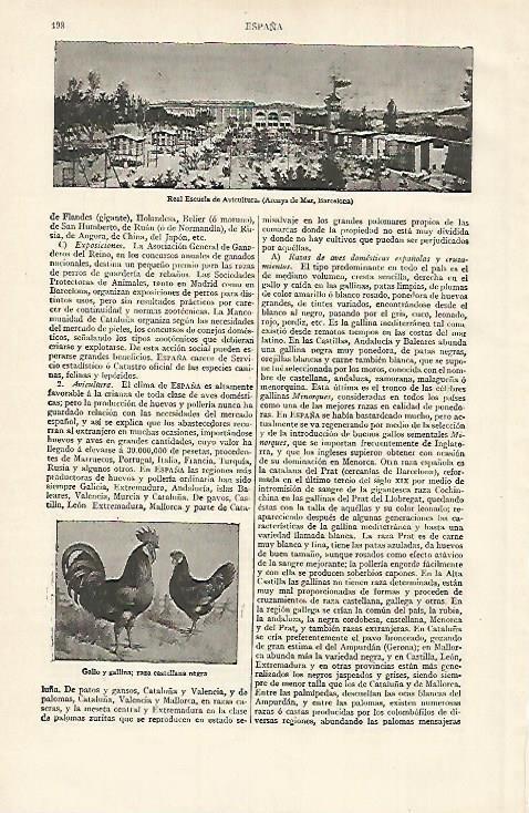 LAMINA ESPASA 15575: Real Escuela de Avicultura en Arenys de Mar Barcelona